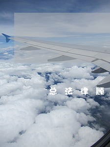 总法律顾问享受副总待遇 总法律顾问享受副总待遇