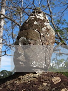 总法律顾问制度2015 总法律顾问制度2015