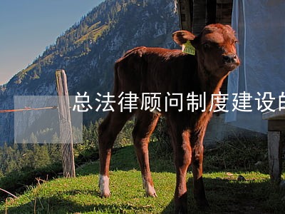 总法律顾问制度建设的意义 总法律顾问制度建设的意义