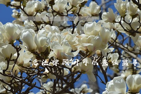 总法律顾问可以兼任监事吗 总法律顾问可以兼任监事吗