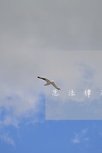 总法律顾问履职清单 总法律顾问履职清单