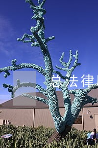 总法律顾问执业资格 总法律顾问执业资格