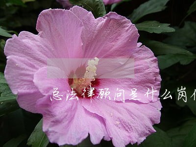 总法律顾问是什么岗位 总法律顾问是什么岗位