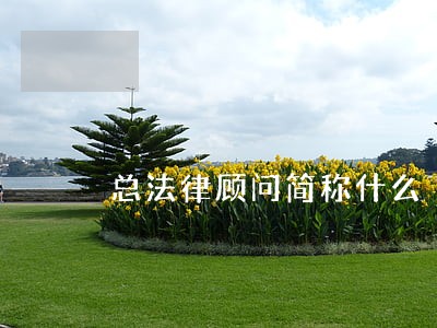 总法律顾问简称什么 总法律顾问简称什么