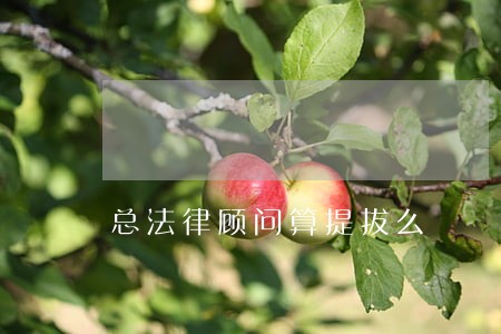 总法律顾问算提拔么 总法律顾问算提拔么