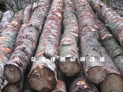 总法律顾问讲话稿 总法律顾问讲话稿