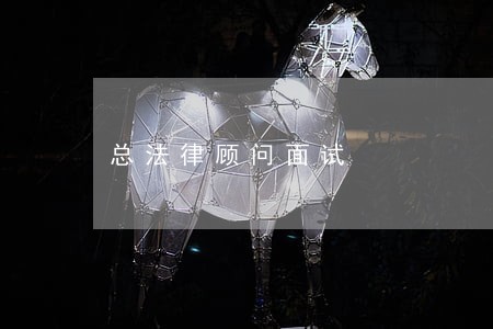 总法律顾问面试