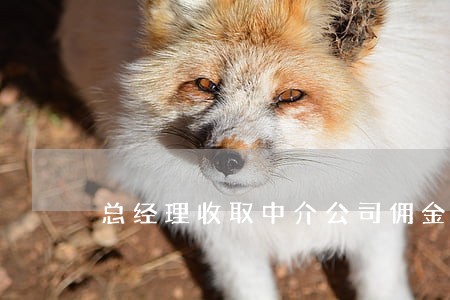 总经理收取中介公司佣金违法