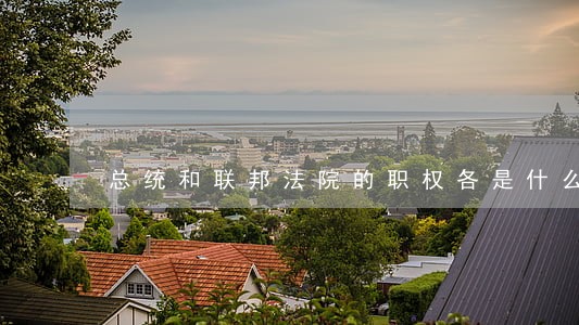 总统和联邦法院的职权各是什么 总统和联邦法院的职权各是什么