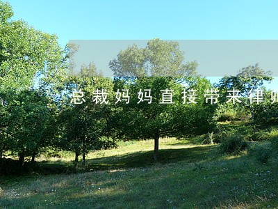 总裁妈妈直接带来律师 总裁妈妈直接带来律师