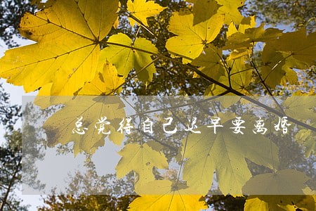 总觉得自己迟早要离婚 总觉得自己迟早要离婚