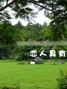 恋人具有法律关系吗 恋人具有法律关系吗