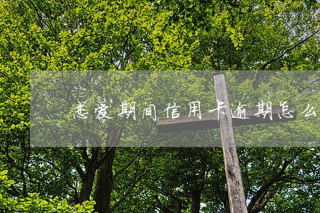 恋爱期间信用卡逾期怎么处理 恋爱期间信用卡逾期怎么处理
