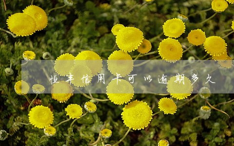 恒丰信用卡可以逾期多久 恒丰信用卡可以逾期多久