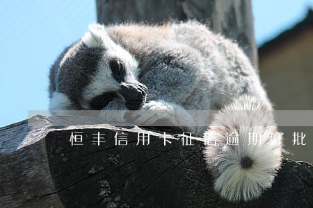 恒丰信用卡征信逾期好批