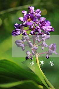 恒丰信用卡逾期一天会怎么样 恒丰信用卡逾期一天会怎么样