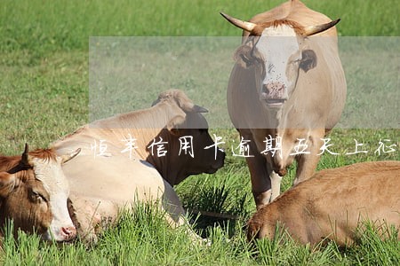 恒丰信用卡逾期五天上征信吗 恒丰信用卡逾期五天上征信吗