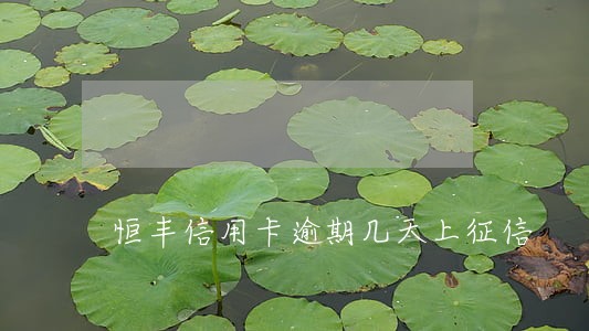 恒丰信用卡逾期几天上征信