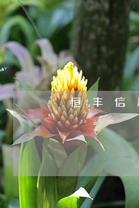 恒丰信用卡逾期多久上征信