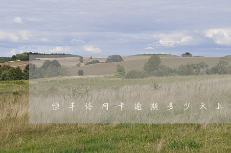 恒丰信用卡逾期多少天上征信 恒丰信用卡逾期多少天上征信
