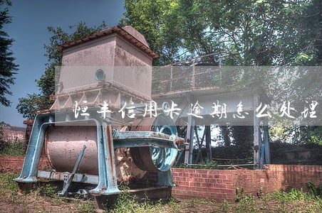 恒丰信用卡逾期怎么处理 恒丰信用卡逾期怎么处理