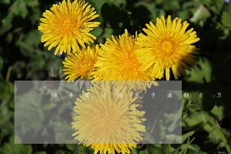 恒丰银行信用卡逾期5万多 恒丰银行信用卡逾期5万多