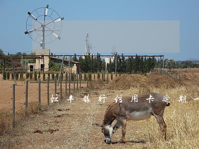 恒丰银行信用卡逾期一天会爆吗 恒丰银行信用卡逾期一天会爆吗