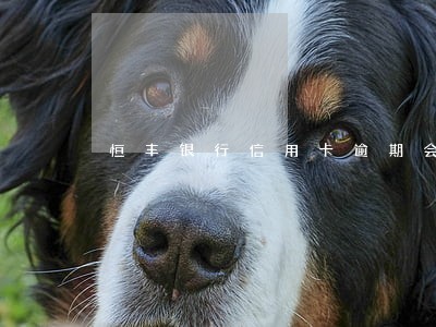 恒丰银行信用卡逾期会冻结账户 恒丰银行信用卡逾期会冻结账户