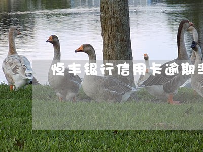 恒丰银行信用卡逾期率 恒丰银行信用卡逾期率