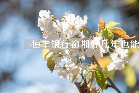 恒丰银行逾期好几年也能下卡吗 恒丰银行逾期好几年也能下卡吗