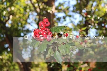 恒大信用卡逾期了怎么办 恒大信用卡逾期了怎么办