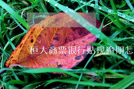 恒大商票银行贴现逾期怎么办 恒大商票银行贴现逾期怎么办
