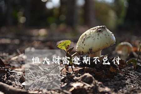 恒大财富逾期不兑付 恒大财富逾期不兑付
