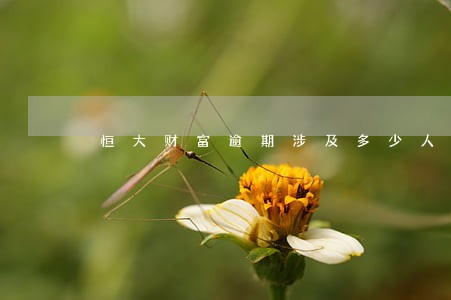 恒大财富逾期涉及多少人 恒大财富逾期涉及多少人