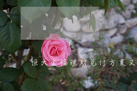 恒大金福理财兑付方案又逾期了 恒大金福理财兑付方案又逾期了