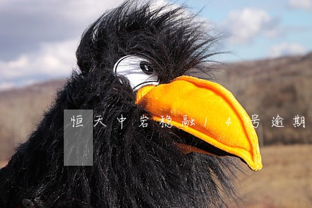 恒天中岩稳融14号逾期 恒天中岩稳融14号逾期