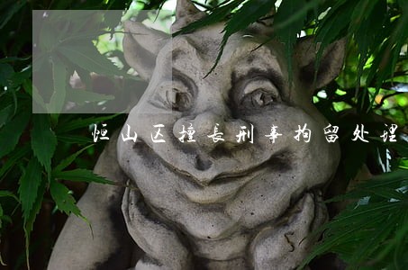 恒山区擅长刑事拘留处理律师 恒山区擅长刑事拘留处理律师