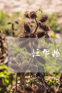 恒帮物流的劳动合同法 恒帮物流的劳动合同法