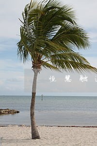 恒慧融逾期十天怎么办 恒慧融逾期十天怎么办