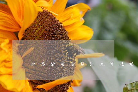 恒昌公司逾期5天可以吗 恒昌公司逾期5天可以吗