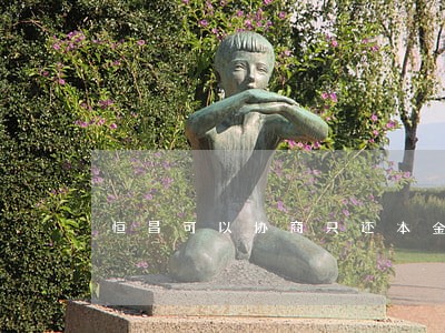 恒昌可以协商只还本金对公账户