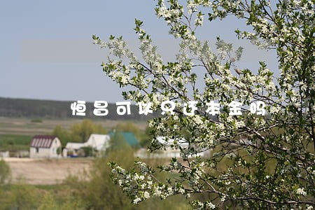 恒昌可以只还本金吗 恒昌可以只还本金吗