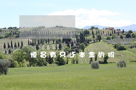 恒昌有只还本金的吗 恒昌有只还本金的吗