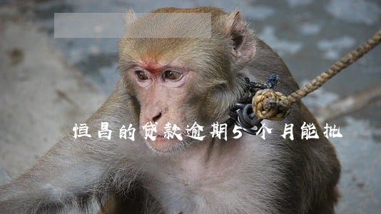恒昌的贷款逾期5个月能批 恒昌的贷款逾期5个月能批