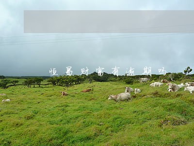 恒昌财富有逾期吗 恒昌财富有逾期吗