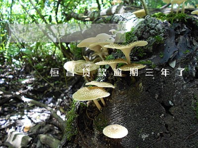 恒昌贷款逾期三年了 恒昌贷款逾期三年了