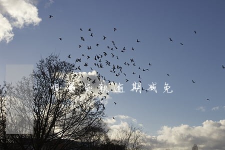 恒昌贷款逾期减免 恒昌贷款逾期减免