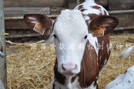 恒昌贷款逾期收到律师短信 恒昌贷款逾期收到律师短信
