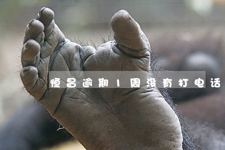 恒昌逾期1周没有打电话 恒昌逾期1周没有打电话