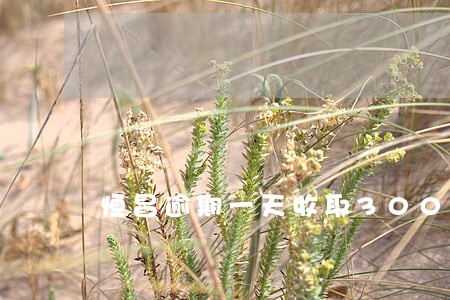恒昌逾期一天收取300违约金 恒昌逾期一天收取300违约金